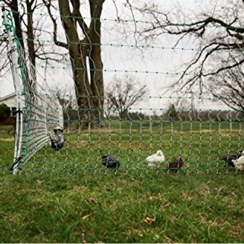 RentACoop Poultry Netting Electric Fence 48 H x 164 L