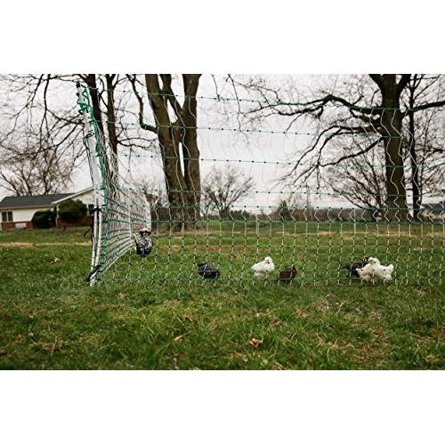 RentACoop Poultry Netting Electric Fence 48 H x 164 L
