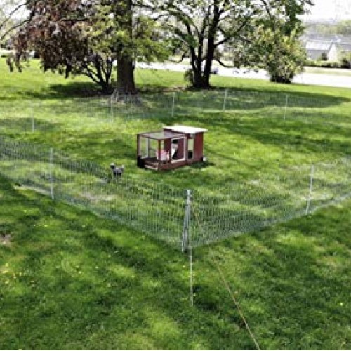 RentACoop Poultry Netting Electric Fence 48 H x 164 L