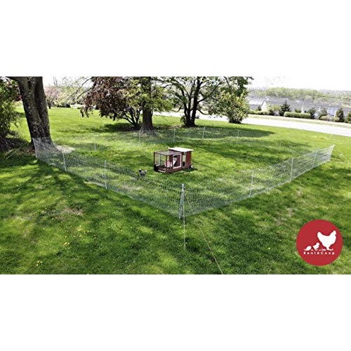 RentACoop Poultry Netting Electric Fence 48 H x 164 L