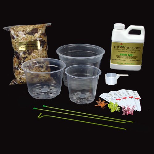 Phalaenopsis Orchid Growing Starter Kit - Includes Instruction Sheet