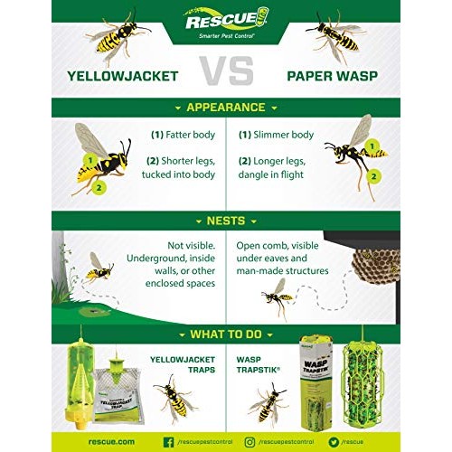RESCUE! Reusable Yellowjacket Trap - 4 Pack