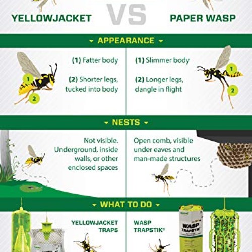 RESCUE! Reusable Yellowjacket Trap - 4 Pack