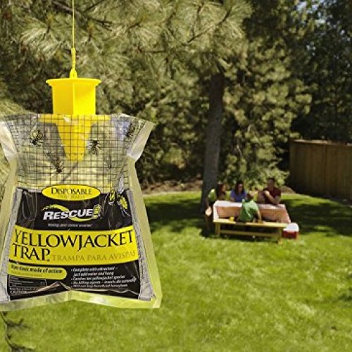 RESCUE YJTD Disposable Yellow Jacket Traps, 2 Pack East of The ...