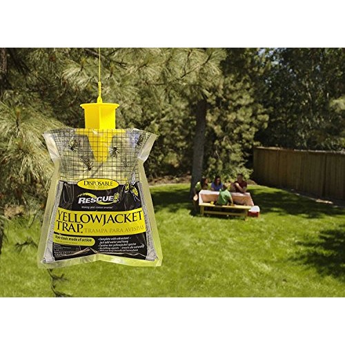 RESCUE YJTD Disposable Yellow Jacket Traps, 2 Pack East of The ...