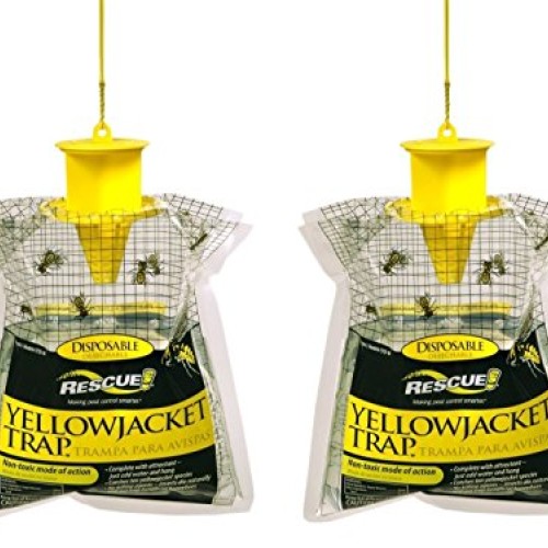 RESCUE YJTD Disposable Yellow Jacket Traps, 2 Pack East of The ...
