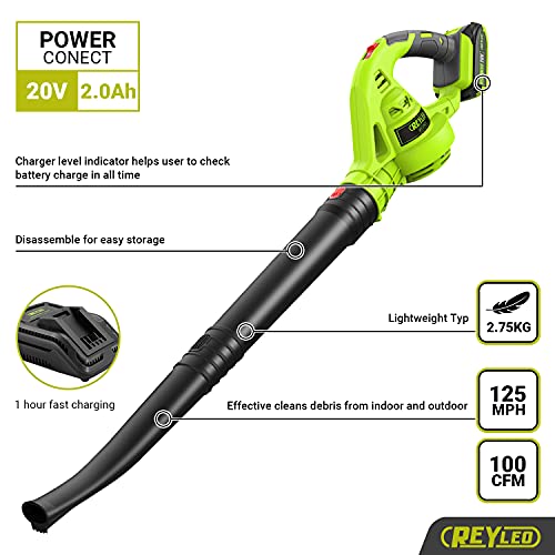 REYLEO 20V Cordless Leaf Blower, 125 MPH Electric Leaf Blower, 2.0...