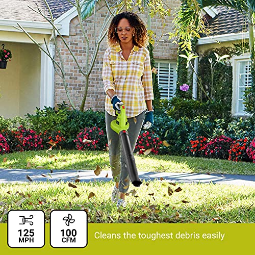 REYLEO 20V Cordless Leaf Blower, 125 MPH Electric Leaf Blower, 2.0...