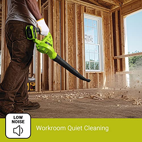 REYLEO 20V Cordless Leaf Blower, 125 MPH Electric Leaf Blower, 2.0...