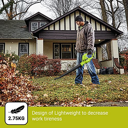REYLEO 20V Cordless Leaf Blower, 125 MPH Electric Leaf Blower, 2.0...