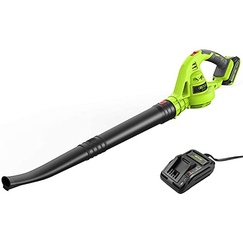 REYLEO 20V Cordless Leaf Blower, 125 MPH Electric Leaf Blower, 2.0...