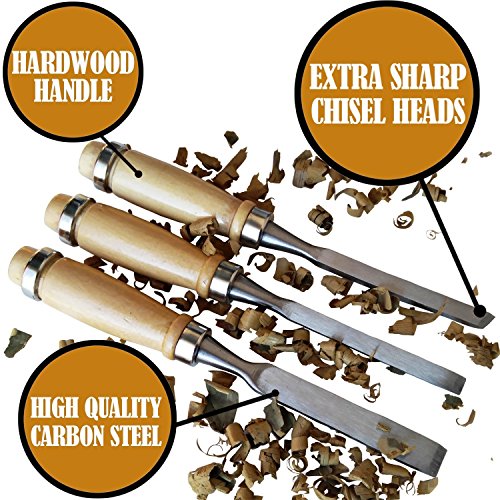RICE Professional Wood Carving Chisel Set - 12 Piece Sharp Woodwor...