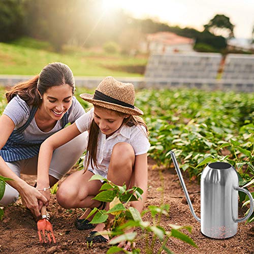 Ridering Stainless Steel Watering Can,53Oz/1.5ML Resistant Scratch...