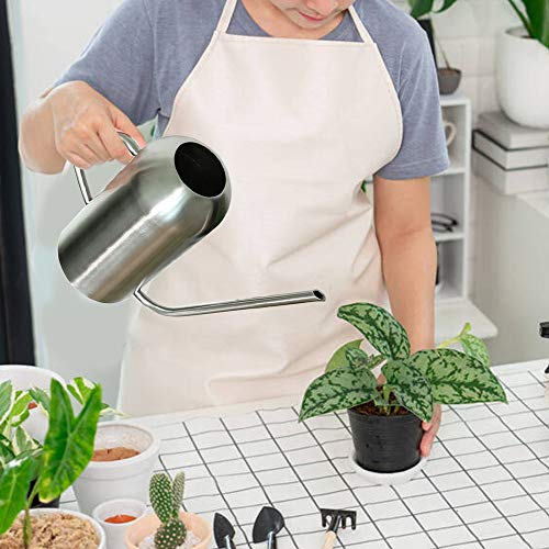 Ridering Stainless Steel Watering Can,53Oz/1.5ML Resistant Scratch...