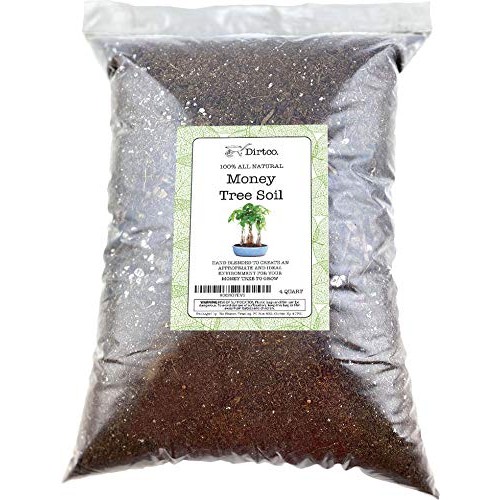 Money Tree Soil, Soil Mix for Planting or Repotting Money Tree, 4q...