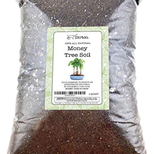Money Tree Soil, Soil Mix for Planting or Repotting Money Tree, 4q...