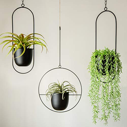 RISEON Boho Black Metal Plant Hanger,Metal Wall and Ceiling Hangin...