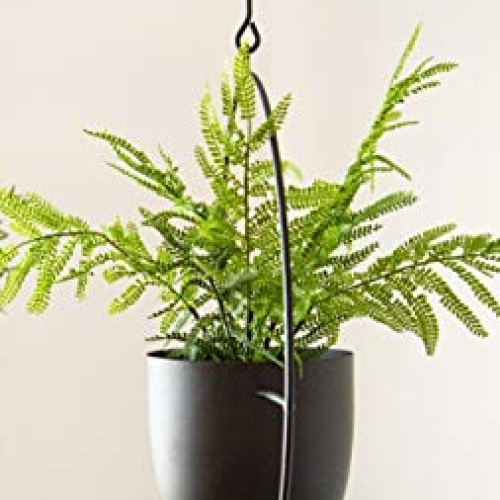 RISEON Boho Black Metal Plant Hanger,Metal Wall and Ceiling Hangin...
