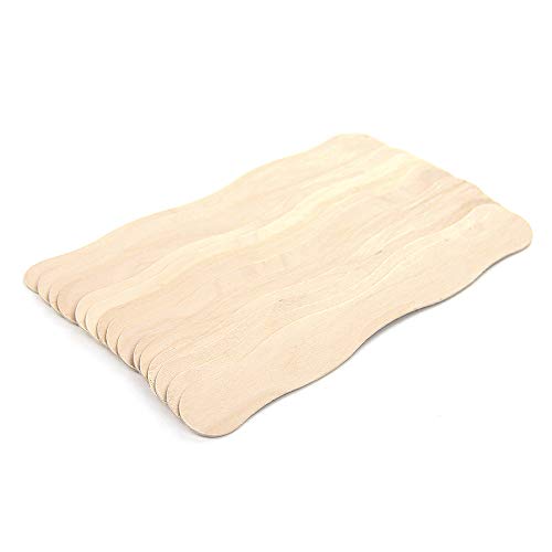 RIVERKING 200pcs,8,Craft Sticks,Wooden Fans Sticks,Handle Natural...