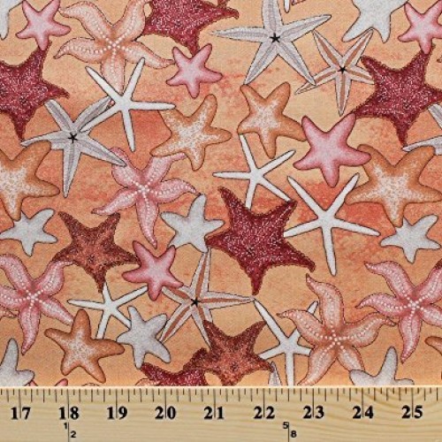 Cotton Starfish on Beach Sand Sea Stars Aquatic Marine Animals Nat...
