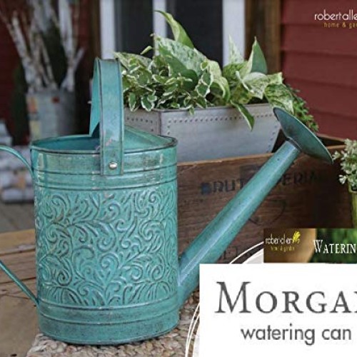 Robert Allen Home & Garden MPT01182 Metal Watering can, 1 Gallon, ...