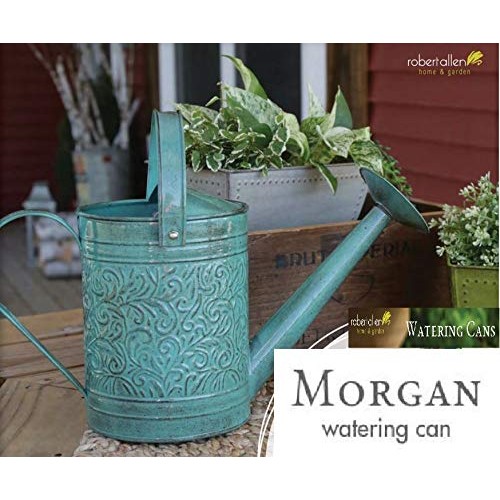 Robert Allen Home & Garden MPT01182 Metal Watering can, 1 Gallon, ...