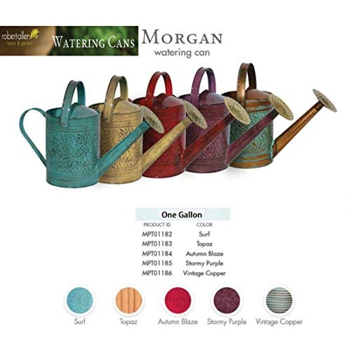 Robert Allen Home & Garden MPT01182 Metal Watering can, 1 Gallon, ...
