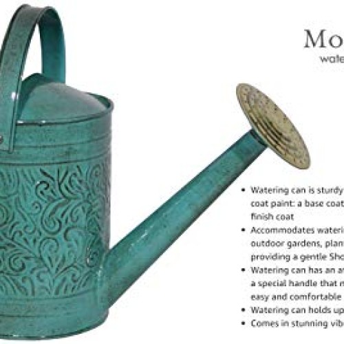 Robert Allen Home & Garden MPT01182 Metal Watering can, 1 Gallon, ...