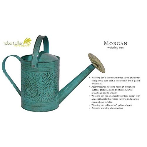 Robert Allen Home & Garden MPT01182 Metal Watering can, 1 Gallon, ...
