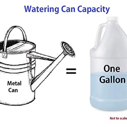 Robert Allen Home & Garden MPT01182 Metal Watering can, 1 Gallon, ...