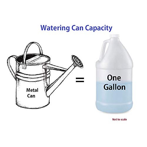 Robert Allen Home & Garden MPT01182 Metal Watering can, 1 Gallon, ...