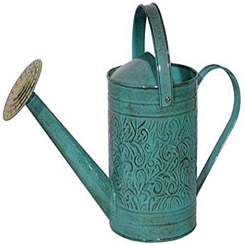 Robert Allen Home & Garden MPT01182 Metal Watering can, 1 Gallon, ...