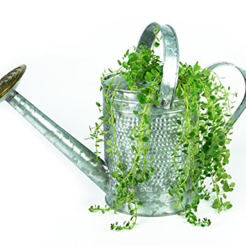 Robert Allen Home & Garden Robert Allen MPT01191 Jameson Metal Wat...