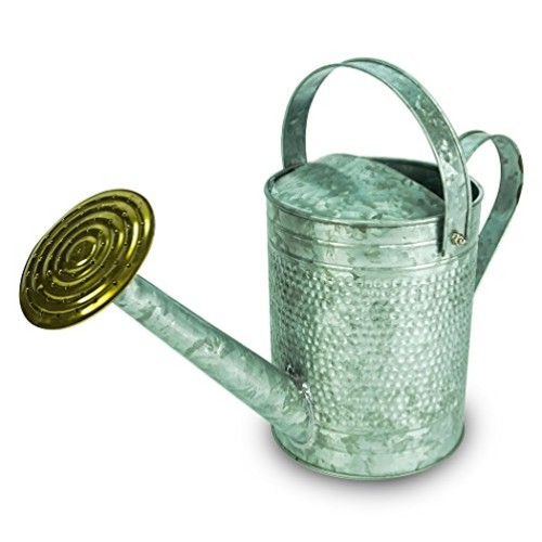Robert Allen Home & Garden Robert Allen MPT01191 Jameson Metal Wat...