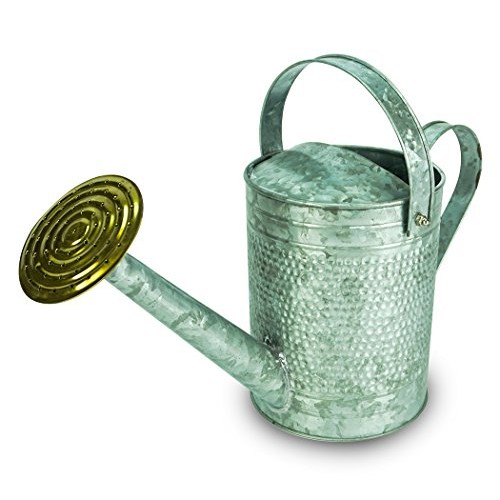 Robert Allen Home & Garden Robert Allen MPT01191 Jameson Metal Wat...