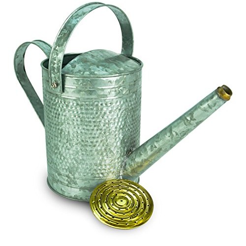 Robert Allen Home & Garden Robert Allen MPT01191 Jameson Metal Wat...