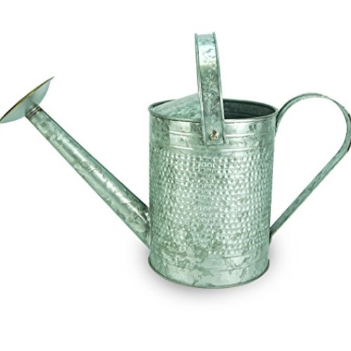 Robert Allen Home & Garden Robert Allen MPT01191 Jameson Metal Wat...