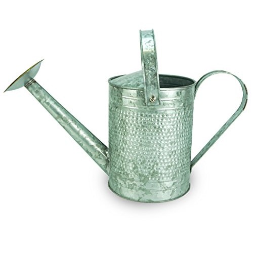 Robert Allen Home & Garden Robert Allen MPT01191 Jameson Metal Wat...