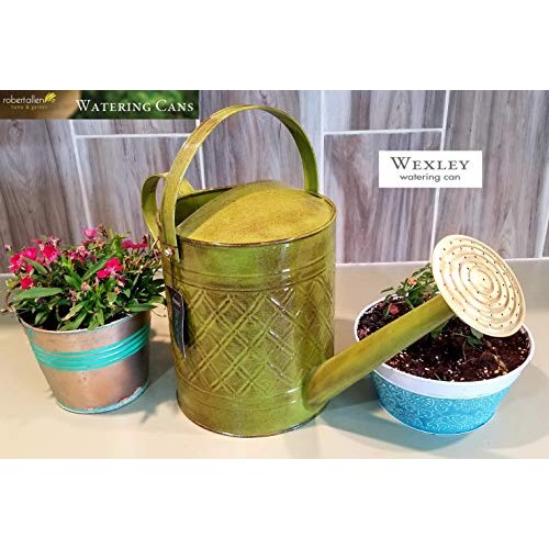 Robert Allen Home & Garden Robert Allen MPT01500 Wexley Metal, Tan...
