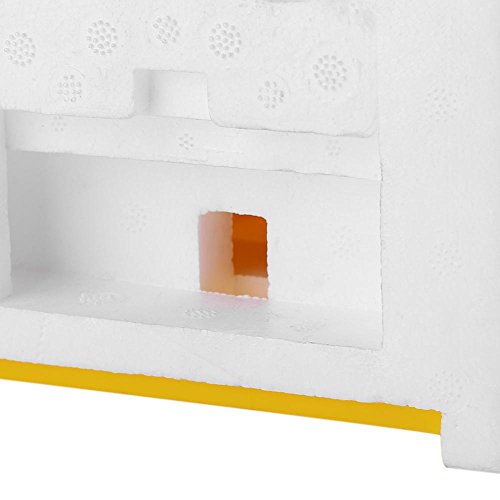 ROBTLE Bee Mating Nuc Hive,Beekeeping Queen Breeding Afordable & D...