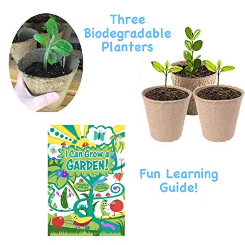 ROCA Home Kids Gardening Tools with Kids Gardening Gloves and Unic...