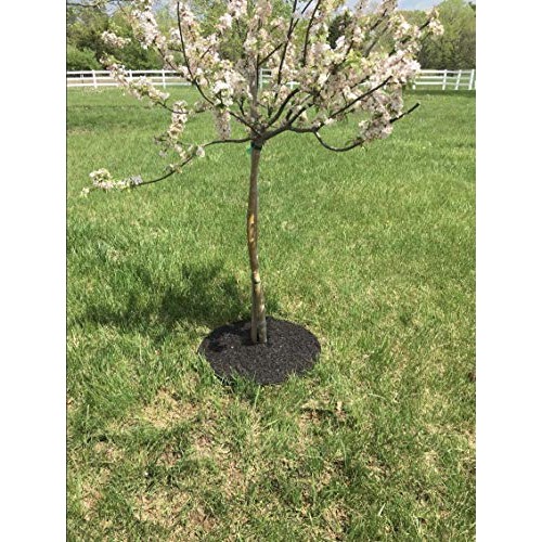 Rocky Mountain Tree Mulch Ring Weed Preventer - Recycled Heavy Dut...