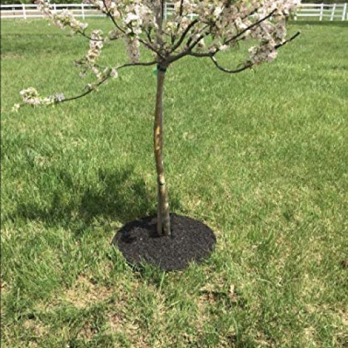 Rocky Mountain Tree Mulch Ring Weed Preventer - Recycled Heavy Dut...