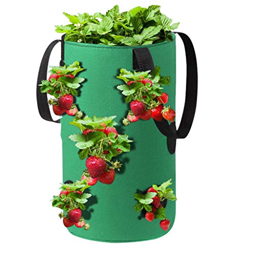 Rodam Strawberry Planting Grow Bags with Holes, Garden 3 Gallon Po...