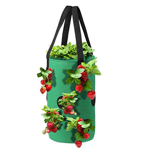 Rodam Strawberry Planting Grow Bags with Holes, Garden 3 Gallon Po...