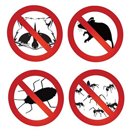 Rodent Sheriff Pest Control - Ultra-Pure Peppermint Spray - Repels...