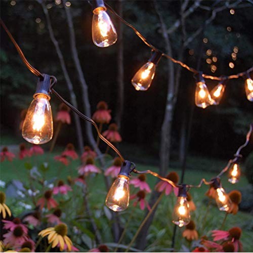 Romasaty 25FT ST35 Outdoor Patio Edison String Lights with 27Clear...