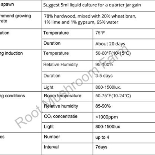 Root mushroom Farm- 30 Kinds of Mushroom Liquid Culture Available ...