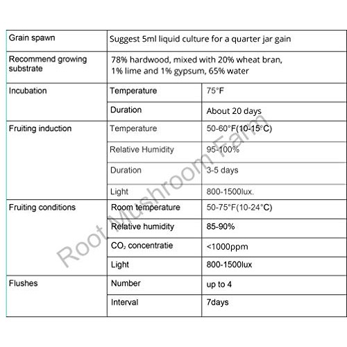 Root mushroom Farm- 30 Kinds of Mushroom Liquid Culture Available ...