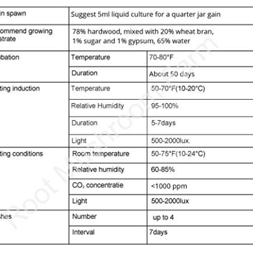 Root mushroom Farm- 30 Kinds of Mushroom Liquid Culture Available ...